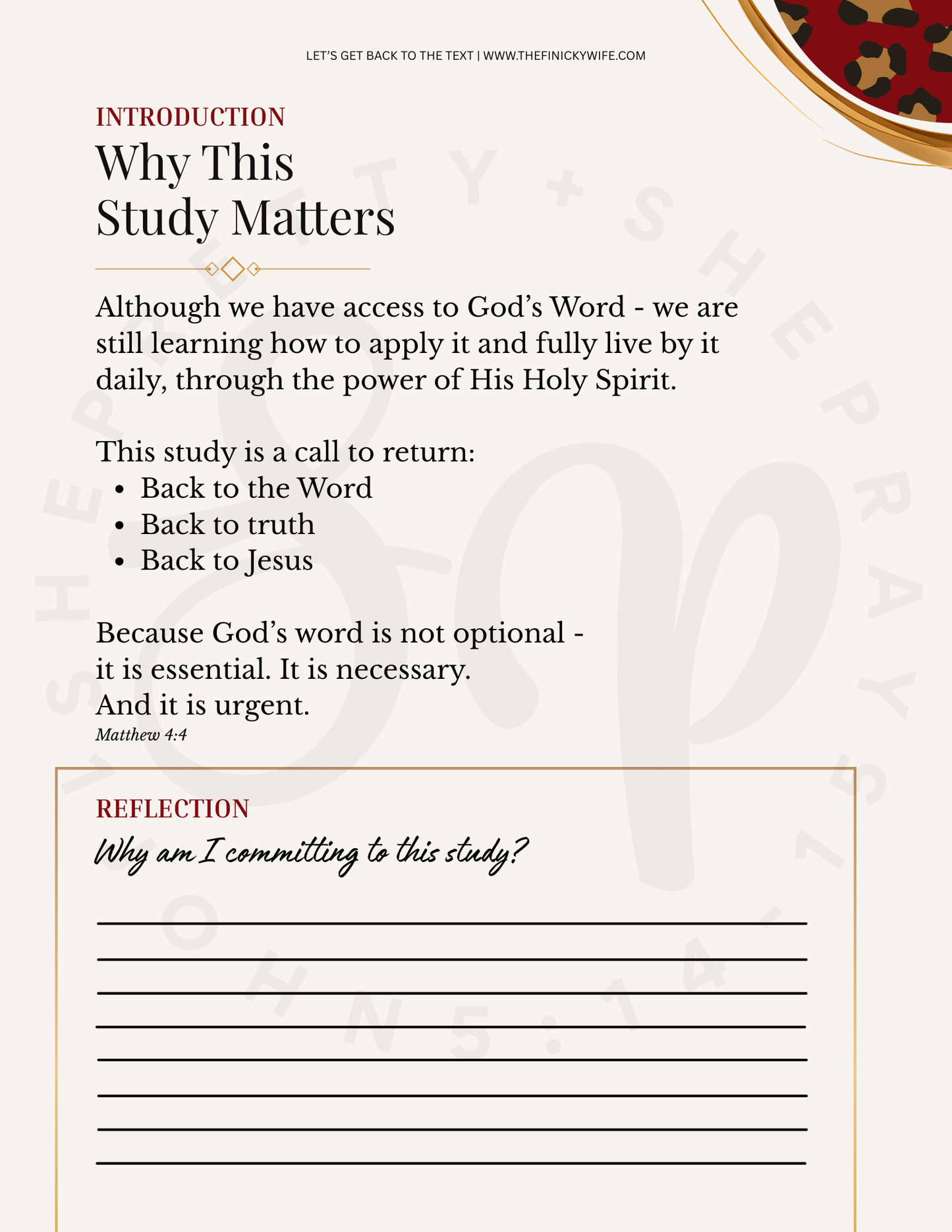 Let's Get Back To The Text -Digital Download-Workbook