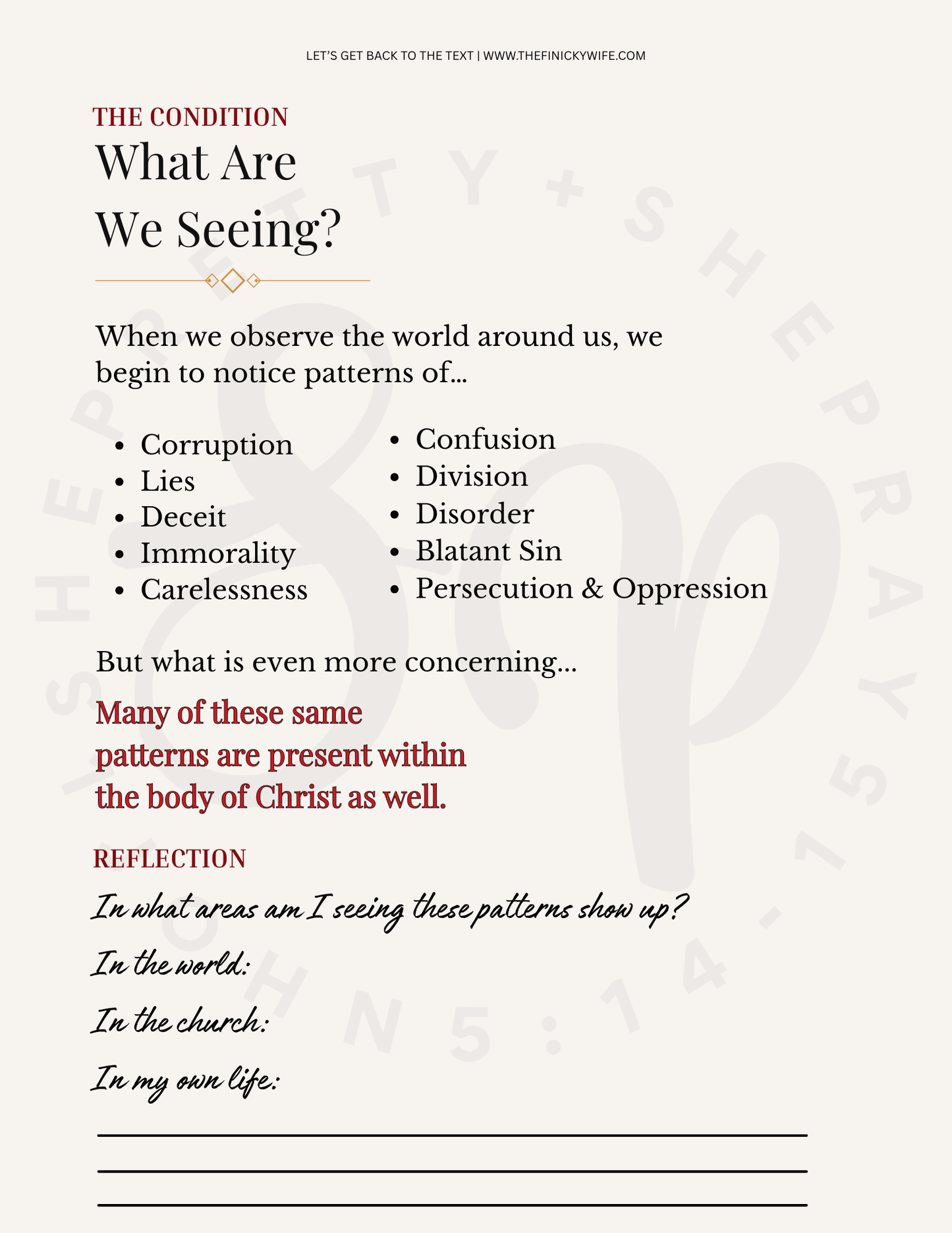 Let's Get Back To The Text -Digital Download-Workbook