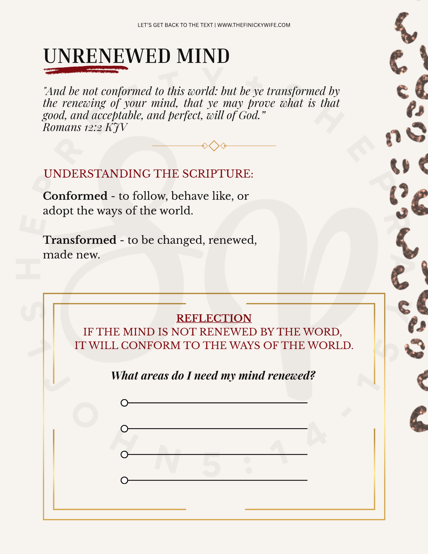 Let's Get Back To The Text -Digital Download-Workbook